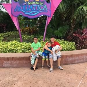 Meet your Posher, Hector